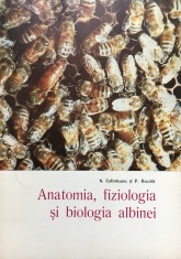 ANATOMIA, FIZIOLOGIA SI BIOLOGIA ALBINEI - Coltofeanu, Bucata foto