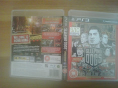 Sleeping Dogs Limited Edition - PS3 foto