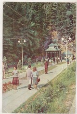 bnk cp Slanic Moldova - La izvoare - necirculata
