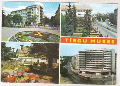 bnk cp Targu Mures - Vedere - necirculata foto