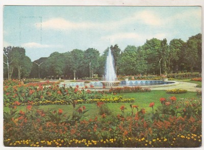 bnk cp Roman - Vedere din parc - necirculata foto