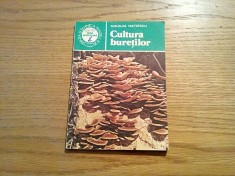 CULTURA BURETILOR - Nicolae Mateescu - Ceres, 1985, 89 p.
