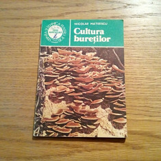 CULTURA BURETILOR - Nicolae Mateescu - Ceres, 1985, 89 p.