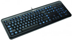 Tastatura Trust eLight LED, negru (cu iluminare spate) HUN foto