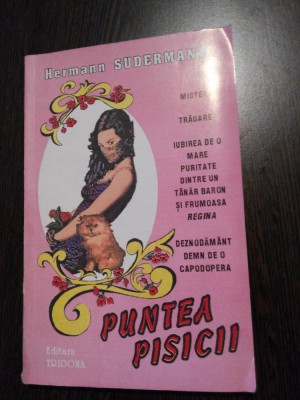 PUNTEA PISICII - Hermann Sudemann - Editura Tridona, 1993, 241 p. foto