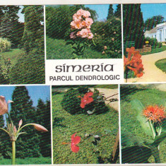 bnk cp Simeria - Parcul dendrologic - necirculata
