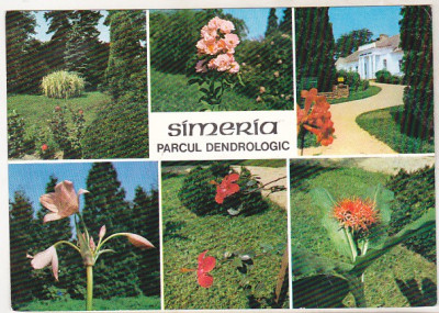 bnk cp Simeria - Parcul dendrologic - necirculata foto