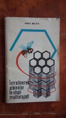 Intretinerea albinelor in stupi multietajati -Aurel Malaiu foto