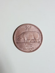 5609 IRLANDA 1/2 PENNY 1964 foto