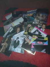 24LP Blondie/Rogers/The Flash/Cruise/Rasa/Ekseption/Huey Lewis/Limousine vinil foto