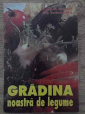 Gradina Noastra De Legume - M. Vladut, Serban Popa ,385085 foto