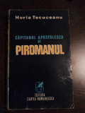 Capitanul APOSTOLESCU si PIROMANUL - Horia Tecuceanu - 1979, 378 p.