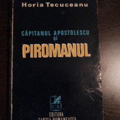 Capitanul APOSTOLESCU si PIROMANUL - Horia Tecuceanu - 1979, 378 p.