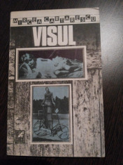 VISUL ( nuvele ) - Mircea Cartarescu - Editura Cartea Romaneasca, 1989, 289 p. foto
