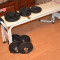 Set greutati+bare 50 kg Domyos din Decathlon+2x5kg si 2x10kg