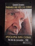 INTINERARIILE UNEI VIETI: E.M. CIORAN - APOCALIPSA DUPA CIORAN - Gabriel Liceanu, Alta editura