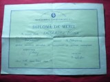 Diploma de Merit 1966 ,dim.=25x17 cm ,Liceul nr.21