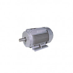 Motor Anne 750W monofazic foto