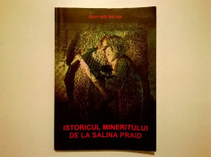 Horvath Istvan - Istoricul mineritului de la Salina Praid foto