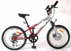 Bicicleta Mountain Bike 20&amp;quot; cu jante duble si frane pe disc Best Laux TP20C001 foto