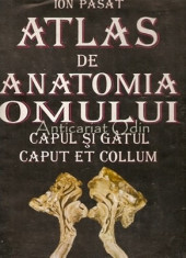 Atlas De Anatomia Omului. Capul Si Gatul - Ion Pasat foto