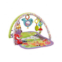 Centru activitati Woodland Friends 3-in-1 Musical Activity Gym Fisher Price foto