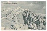 3648 - MOUNTAIN CARPATI, Sibiu, winter - old postcard, CENSOR - used - 1917, Circulata, Printata