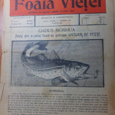 revista foaia vietei anul 1 ,nr. 3 din 15 octombrie 1911-apare o data la 3 luni