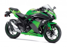 Kawasaki Ninja 300 &amp;#039;13 foto