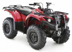 Yamaha Grizzly 450 EPS foto