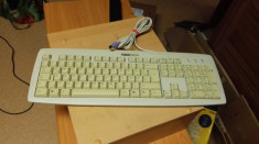 Tastatura PC Maxdata (Cherry) KB-0556G German foto