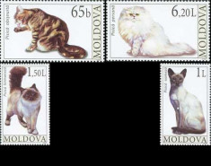 MOLDOVA 2007, Fauna - Pisici, serie neuzata, MNH foto