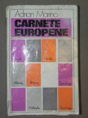 CARNETE EUROPENE-ADRIAN MARINO CLUJ-NAPOCA 1976 foto