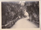 Bnk foto - Cheile Bicazului - anii 60-70, Alb-Negru, Romania de la 1950, Natura