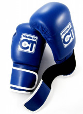 Manusi de box Tremblay CT pentru antrenament - 10 oz. foto