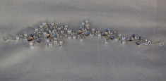Agrafa eleganta de ocazie, tip coronita argintie cu strasuri si perle foto