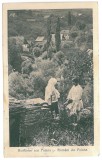 1471 - ETHNIC from Poiana Sibiului - old postcard - used - 1931, Circulata, Printata