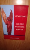 INGERII SOPTESC AIEVEA -LUCA NICOARA ANUL 2004