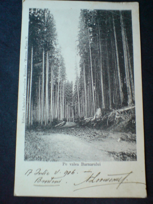 Valea Barnarului, circulata 1906