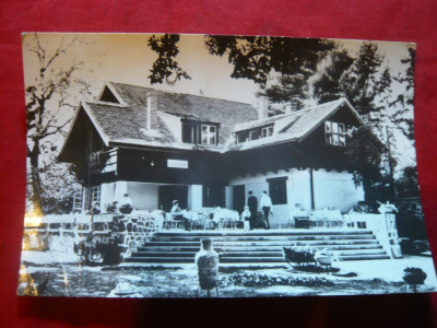 Ilustrata Sibiu - Cabana Valea Aurie ,circulat 1979 foto