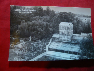 Ilustrata Cluj -Gradina Botanica -Sera Palmierilor ,circulat 1960 foto