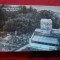 Ilustrata Cluj -Gradina Botanica -Sera Palmierilor ,circulat 1960