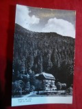 Ilustrata Timisul de Jos , circulat 1961