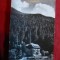 Ilustrata Timisul de Jos , circulat 1961