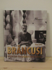 BRANCUSI ARTISTUL CARE TRANSGRESEAZA TOATE HOTARELE /DOINA LEMNY foto