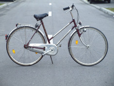 Bicicleta clasica - Radiant Krupp-Nirosta foto