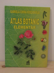 ATLAS BOTANIC ELEMENTAR-Kodzabasija, Gabriela-Corina foto