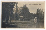 3631 - CRAIOVA, Park Romanescu, Romania - old postcard, real PHOTO - unused, Necirculata, Fotografie