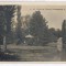 3631 - CRAIOVA, Park Romanescu, Romania - old postcard, real PHOTO - unused