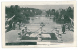 2538 - BUCURESTI, Park Carol - old postcard, real PHOTO - used, Circulata, Fotografie